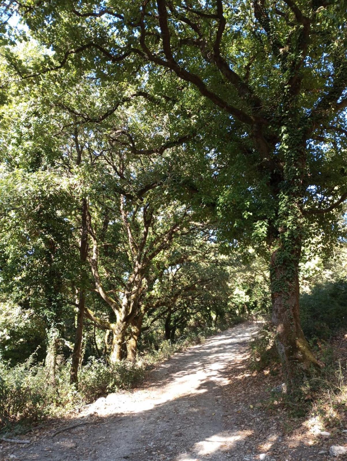 Santa Margherita di BeliceLa Casa Di Enza公寓 外观 照片