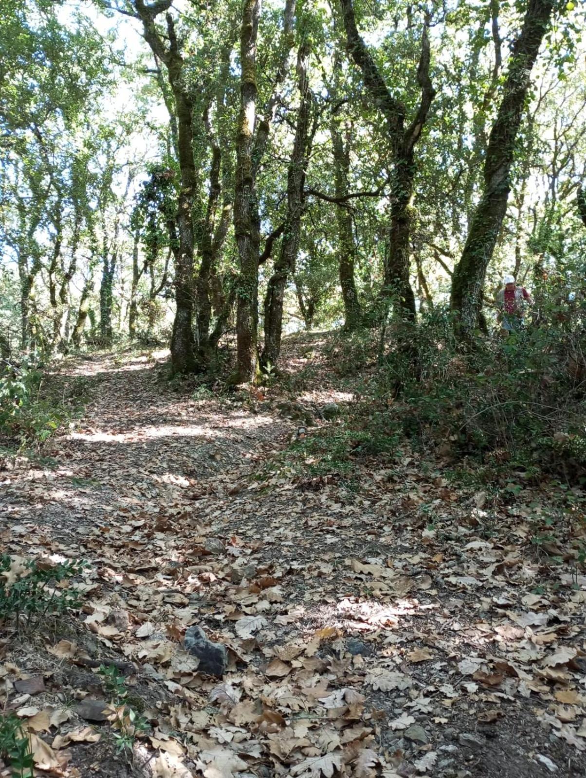 Santa Margherita di BeliceLa Casa Di Enza公寓 外观 照片